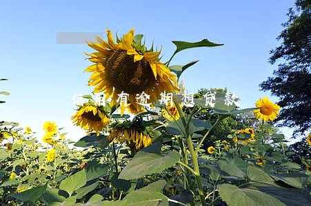 信用有逾期想贷款 信用有逾期想贷款