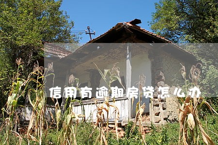 信用有逾期房贷怎么办 信用有逾期房贷怎么办