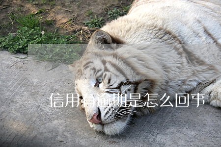 信用有逾期是怎么回事 信用有逾期是怎么回事