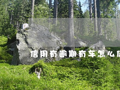 信用有逾期有车怎么借贷 信用有逾期有车怎么借贷