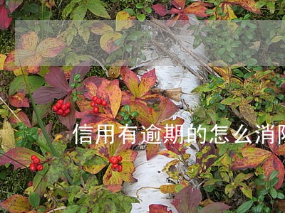信用有逾期的怎么消除 信用有逾期的怎么消除