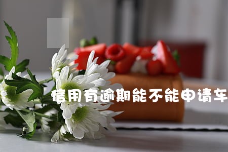 信用有逾期能不能申请车贷 信用有逾期能不能申请车贷