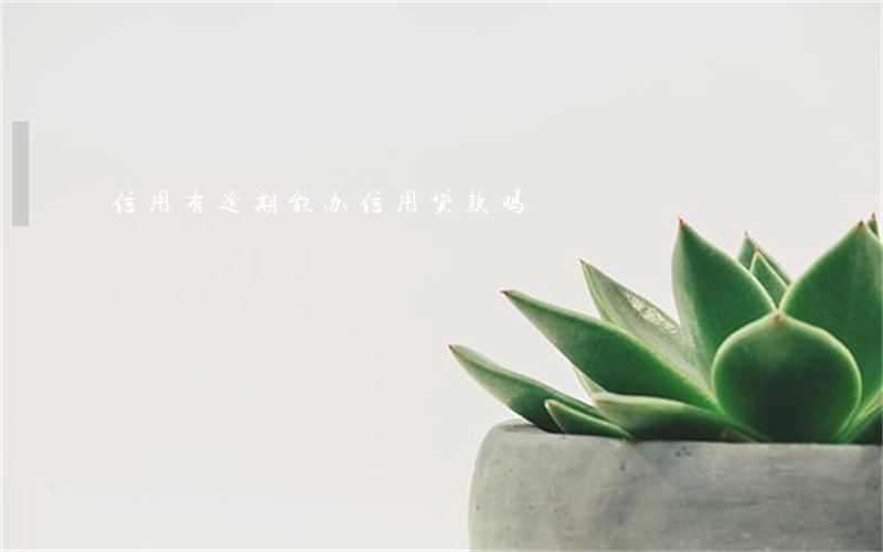 信用有逾期能办信用贷款吗 信用有逾期能办信用贷款吗