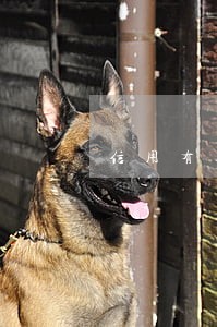 信用有逾期能办公积金吗 信用有逾期能办公积金吗
