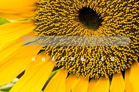 信用有逾期能办车贷 信用有逾期能办车贷