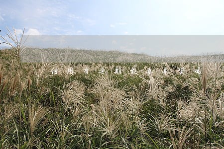 信用有逾期能办车贷吗 信用有逾期能办车贷吗