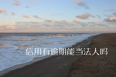 信用有逾期能当法人吗 信用有逾期能当法人吗