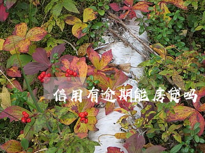 信用有逾期能房贷吗 信用有逾期能房贷吗