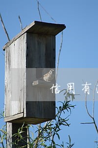 信用有逾期能抵消吗 信用有逾期能抵消吗