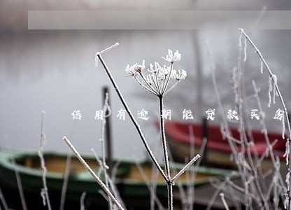 信用有逾期能贷款买房吗 信用有逾期能贷款买房吗