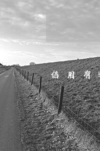 信用有逾期记录怎么消除 信用有逾期记录怎么消除