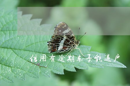 信用有逾期车子能过户 信用有逾期车子能过户