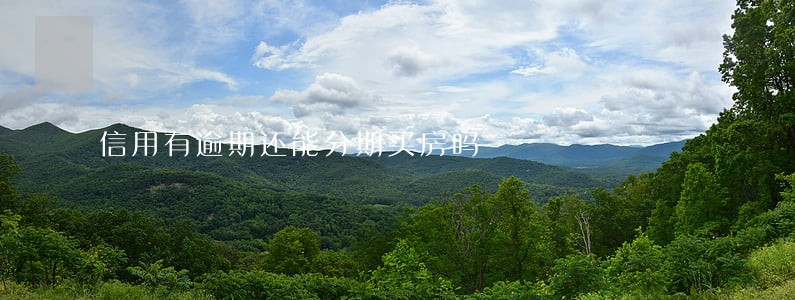 信用有逾期还能分期买房吗 信用有逾期还能分期买房吗