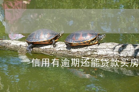 信用有逾期还能贷款买房吗 信用有逾期还能贷款买房吗
