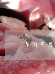 信用有钱逾期