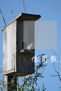 信用服务逾期后守约 信用服务逾期后守约