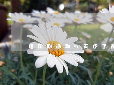 信用期逾期9天还了账单 信用期逾期9天还了账单