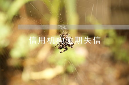 信用机构逾期失信 信用机构逾期失信