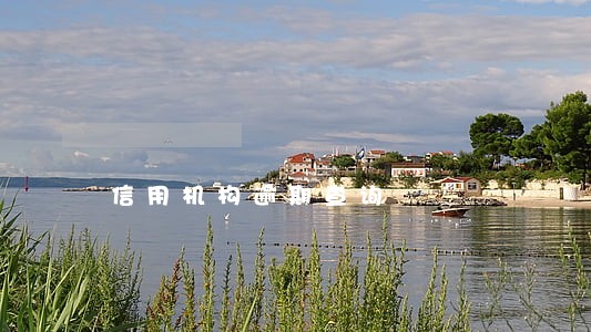 信用机构逾期查询 信用机构逾期查询