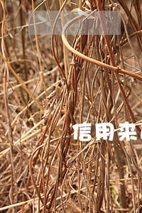 信用来逾期自动扣储值卡钱怎么办 信用来逾期自动扣储值卡钱怎么办