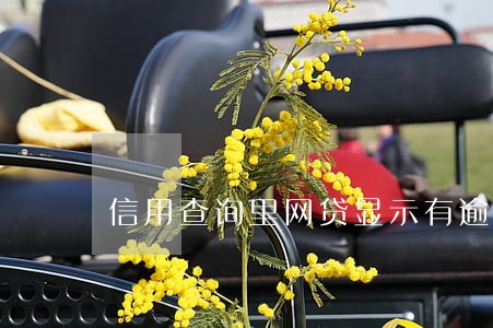 信用查询里网贷显示有逾期余额为 信用查询里网贷显示有逾期余额为