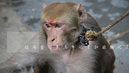 信用查询黑名单记录和逾期记录 信用查询黑名单记录和逾期记录