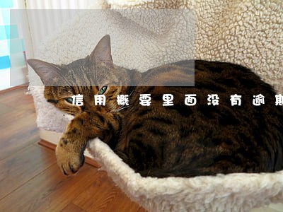 信用概要里面没有逾期记录 信用概要里面没有逾期记录