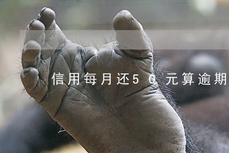 信用每月还50元算逾期吗 信用每月还50元算逾期吗