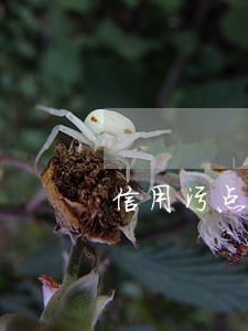 信用污点就是逾期被 信用污点就是逾期被