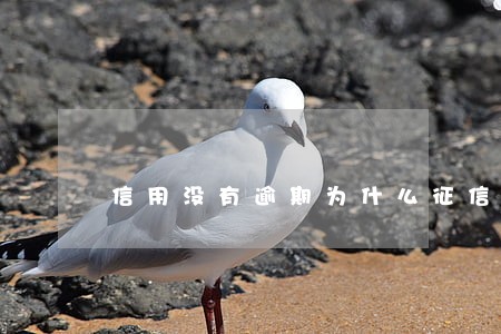 信用没有逾期为什么征信过不了 信用没有逾期为什么征信过不了