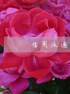 信用没逾期