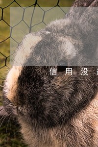 信用没逾期但信用额度低 信用没逾期但信用额度低