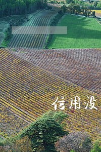 信用没逾期怎么借不了款