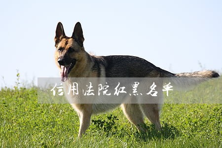 信用法院红黑名单 信用法院红黑名单