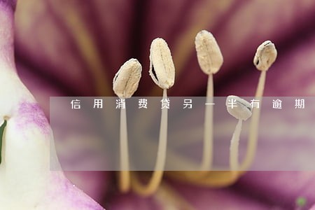 信用消费贷另一半有逾期也影响吗 信用消费贷另一半有逾期也影响吗