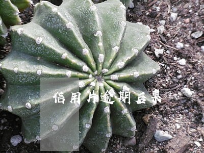 信用片逾期后果 信用片逾期后果