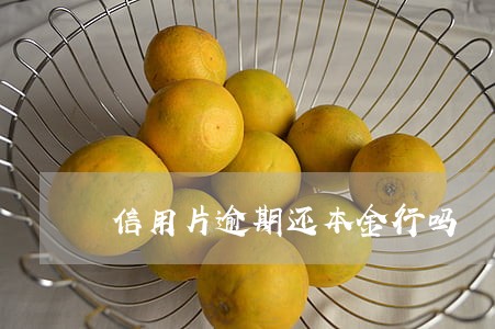 信用片逾期还本金行吗