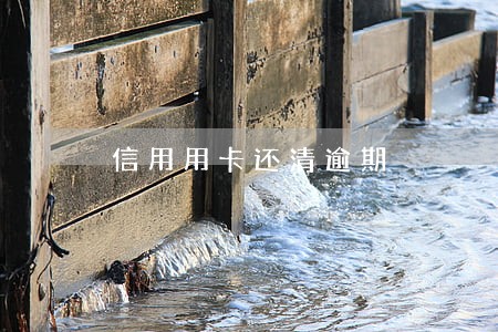 信用用卡还清逾期 信用用卡还清逾期