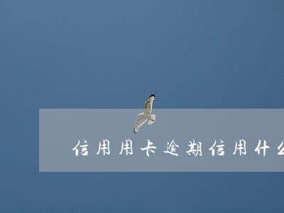 信用用卡逾期信用什么时候恢复 信用用卡逾期信用什么时候恢复