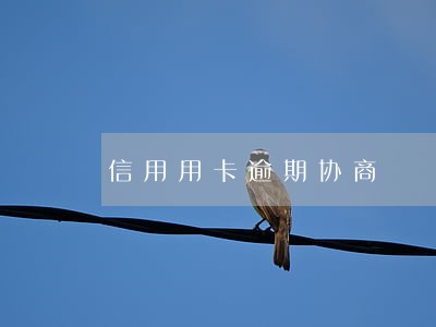 信用用卡逾期协商 信用用卡逾期协商