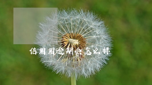 信用用逾期会怎么样 信用用逾期会怎么样