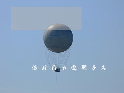 信用白卡逾期多久