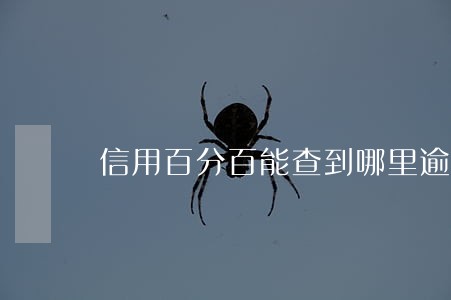 信用百分百能查到哪里逾期过吗 信用百分百能查到哪里逾期过吗