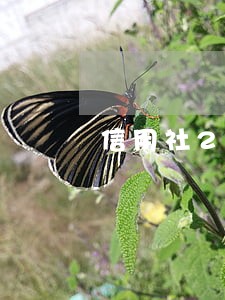 信用社20000元逾期每日利息 信用社20000元逾期每日利息