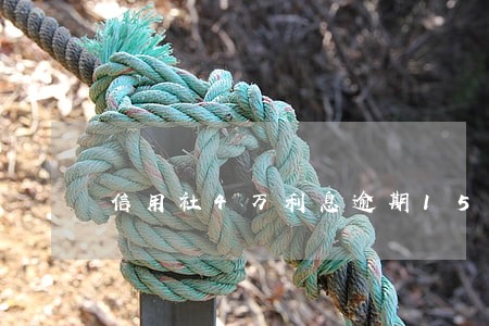 信用社4万利息逾期15天