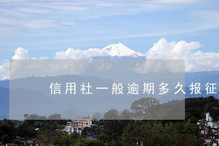 信用社一般逾期多久报征信 信用社一般逾期多久报征信