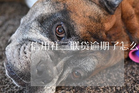 信用社三联贷逾期了怎么办 信用社三联贷逾期了怎么办