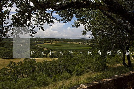 信用社两年一代有网贷逾期 信用社两年一代有网贷逾期