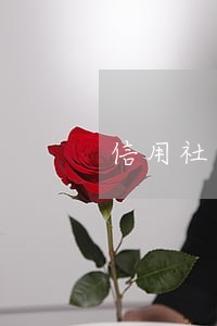 信用社什么样算逾期 信用社什么样算逾期