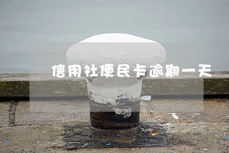 信用社便民卡逾期一天